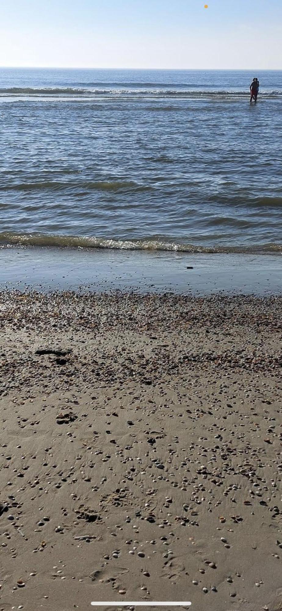 Vakantiehuisje Aan Zee Met Dakterras Rust En Strand 250 M Egmond aan Zee Eksteriør bilde